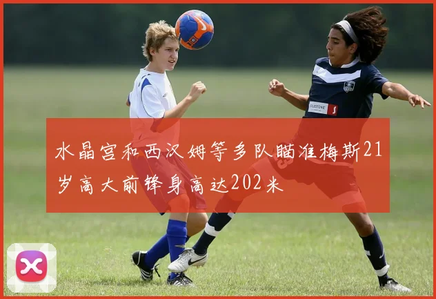 水晶宫和西汉姆等多队瞄准梅斯21岁高大前锋身高达202米